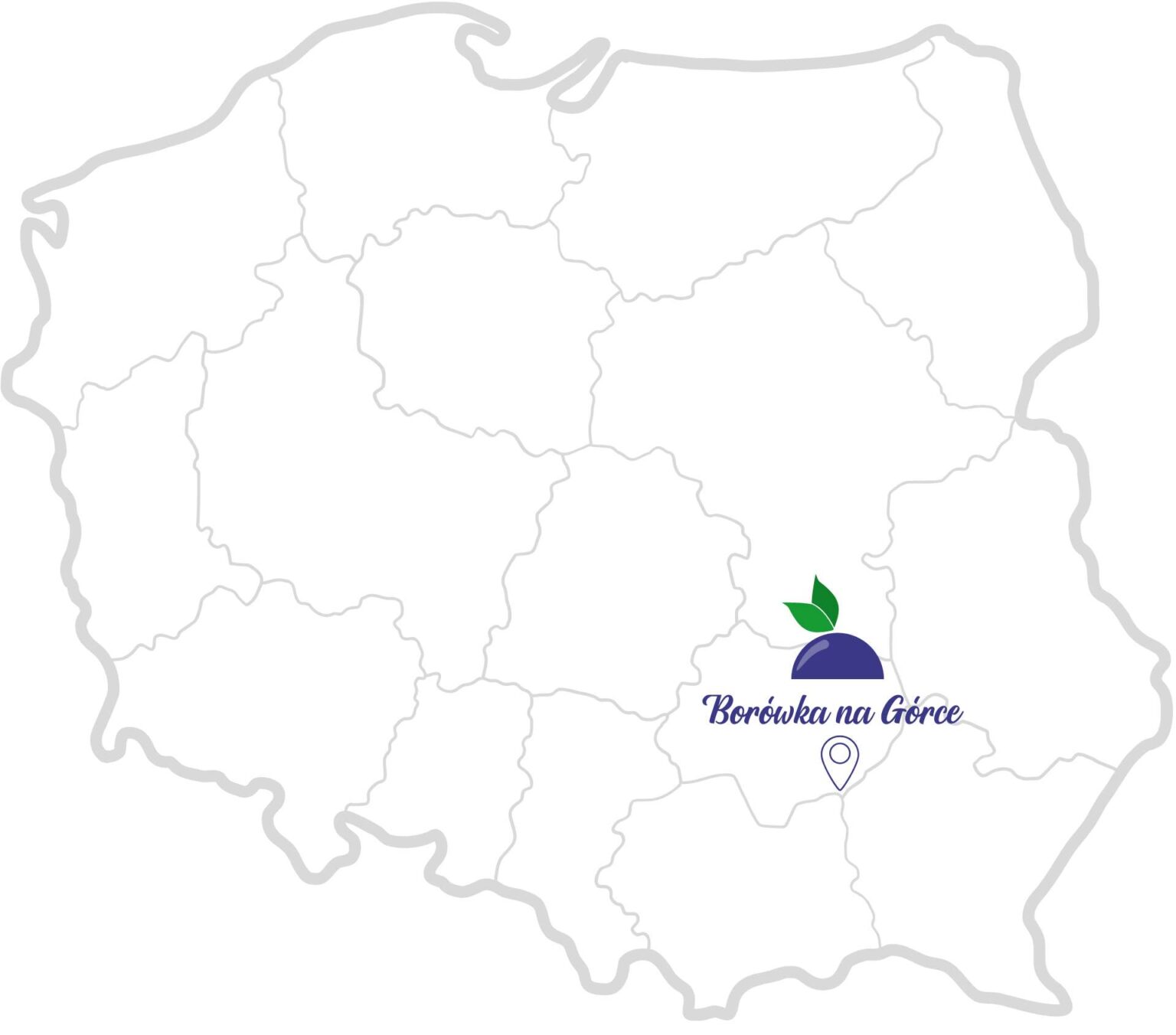 Mapa polski i lokalizacja plantacji Borówka na górce.